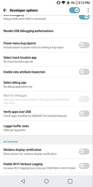 developing option