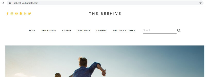 bumble beehive categories
