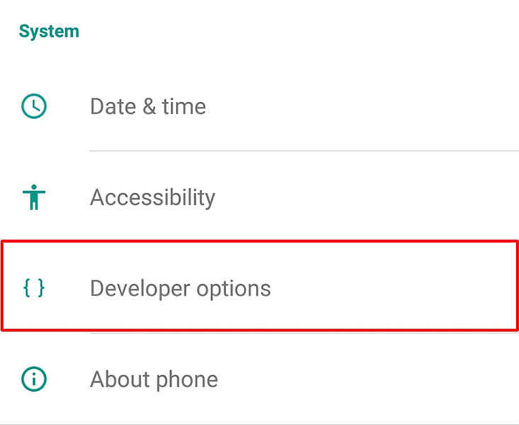 developers options