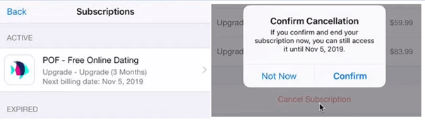 Delete Plenty of Fish Account The Complete Tutorial