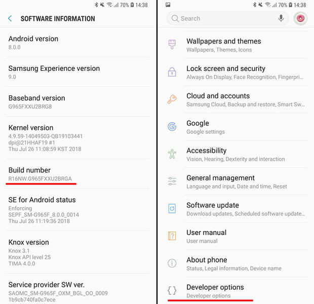 developer options