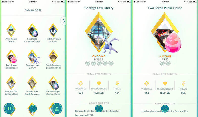 how to level up gym badge