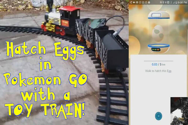 use model railboard to hatch eggs