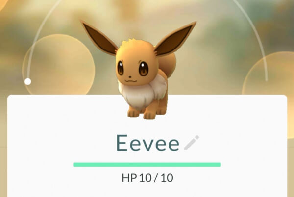 Expert Tips To Know About Eevee In Pokemon Go